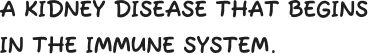 A kidney disease that begins in the immune system.