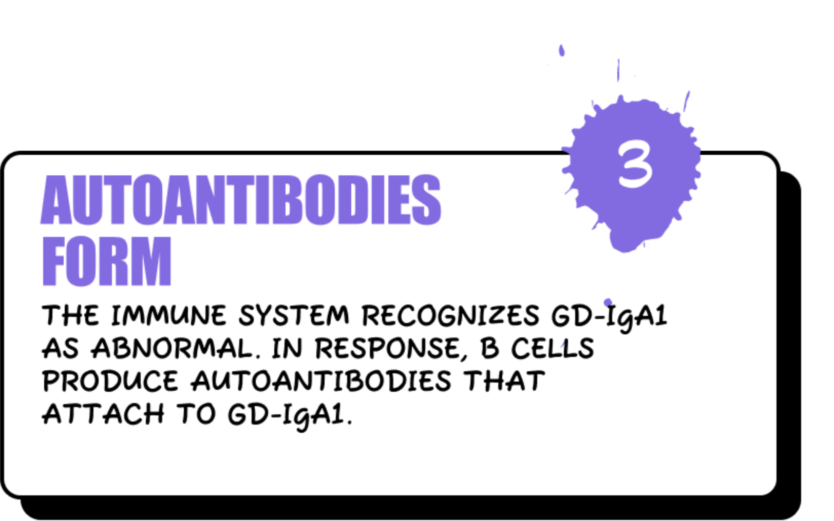 Autoantibodies Form - The immune system recognizes Gd-IgA1 as abnormal. In response, B cells produce autoantibodies that attach to Gd-IgA1.