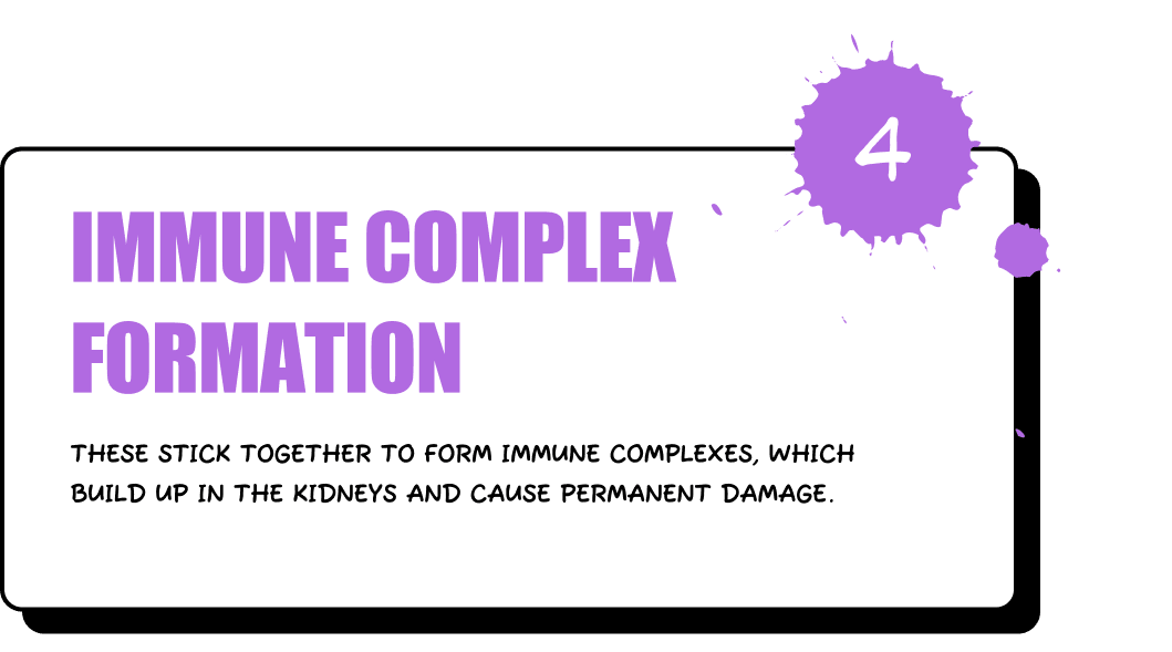 Immune Complex Formation - These stick together to form immune complexes, which build up in the kidneys and cause permanent damage.